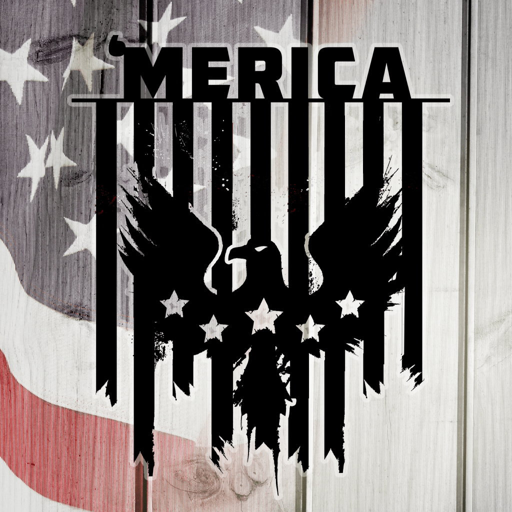 'Merica Grunge Eagle & Flag Metal Art