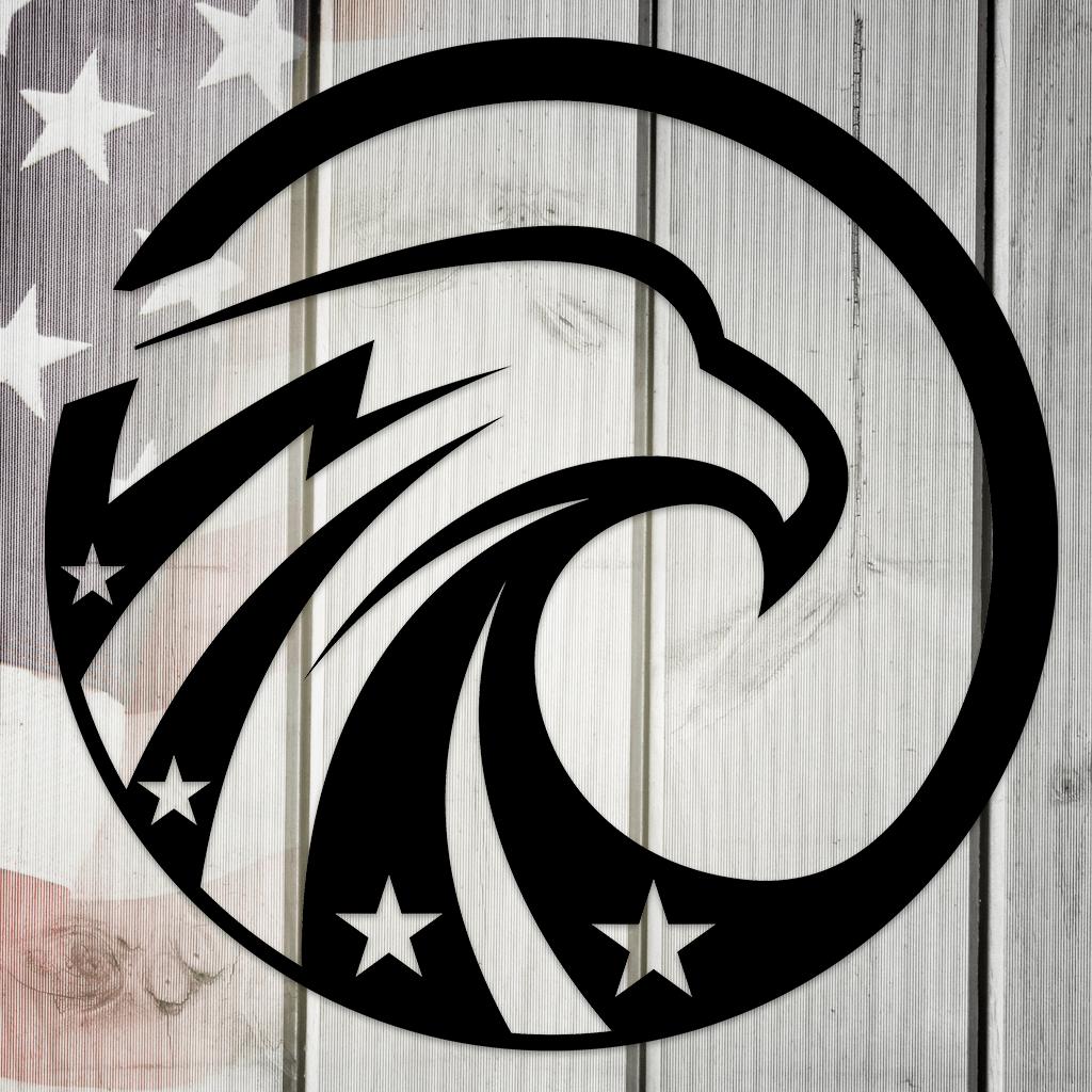 USA Proud American Eagle with Stars Metal Wall Art
