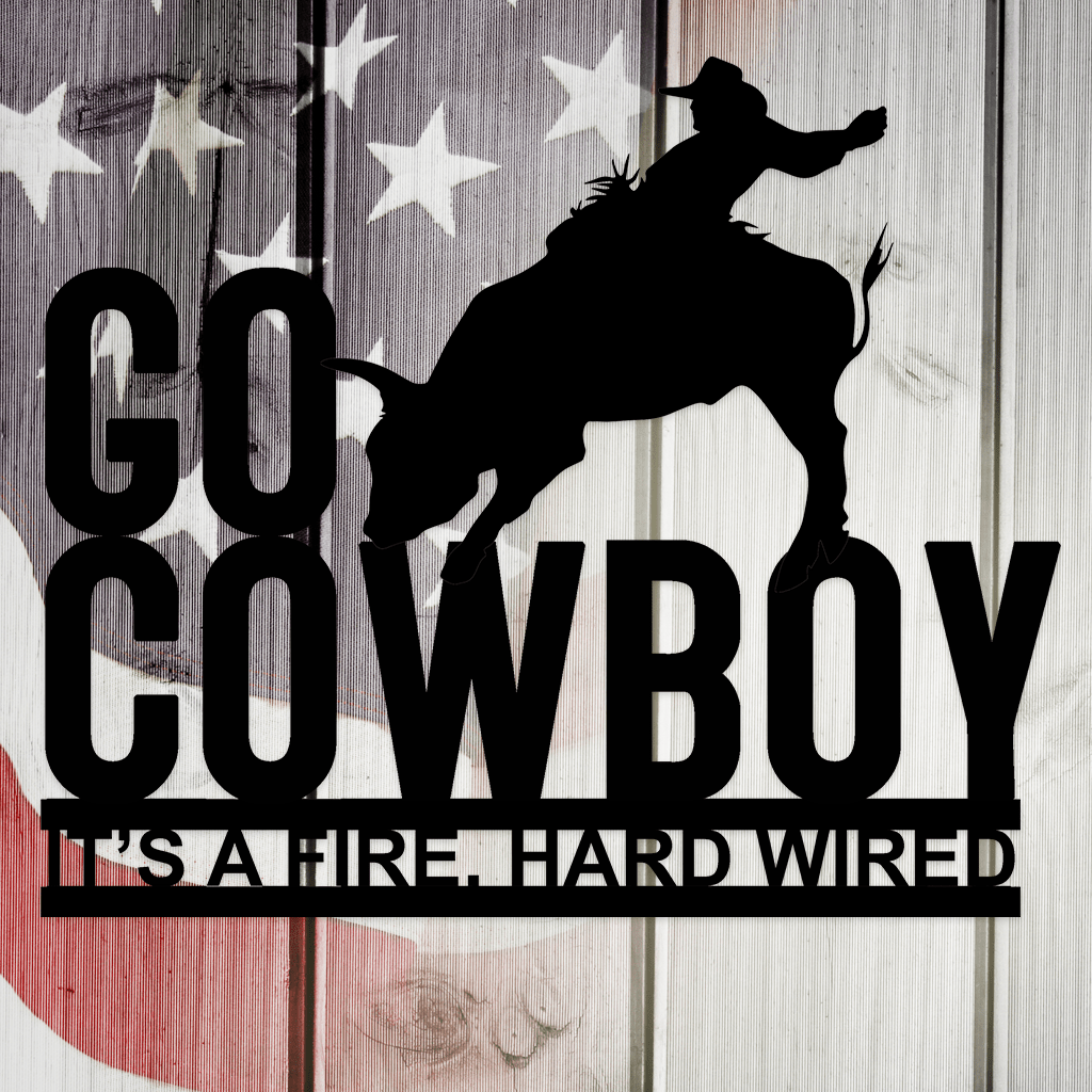 USA Pro Bull Riding Go Cowboy Metal Wall Art
